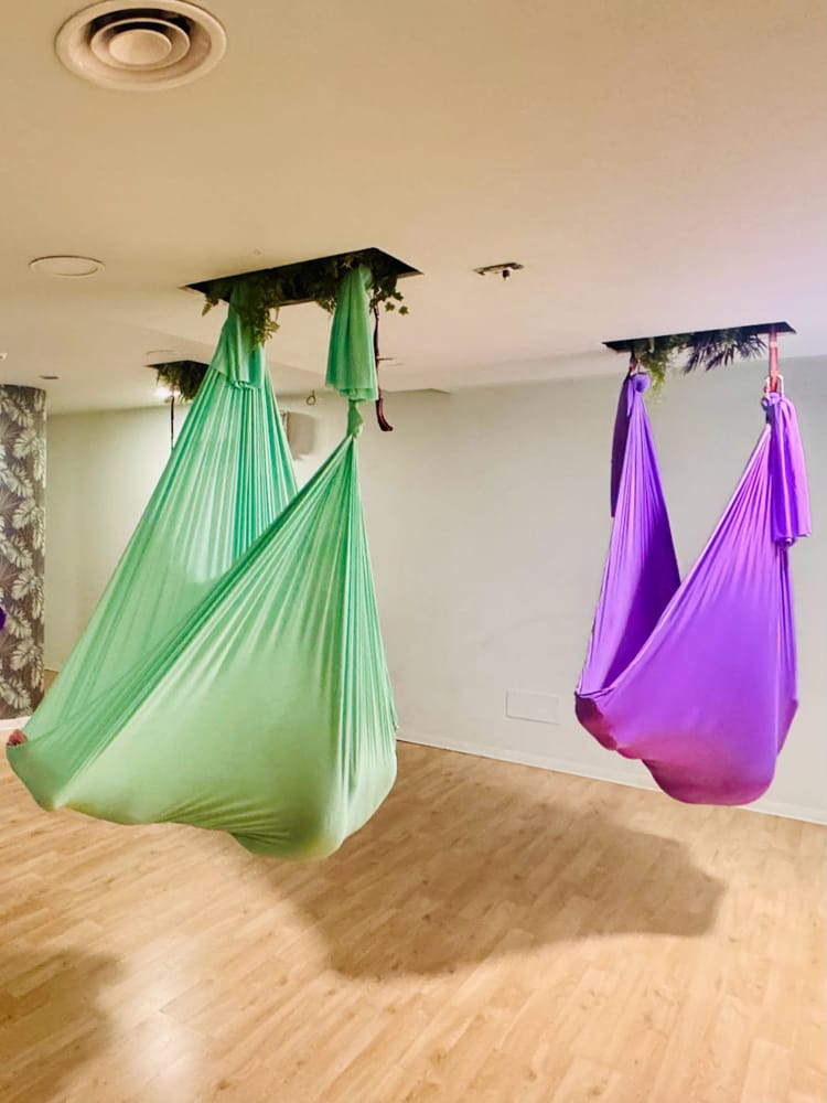 areal yoga 2 amche